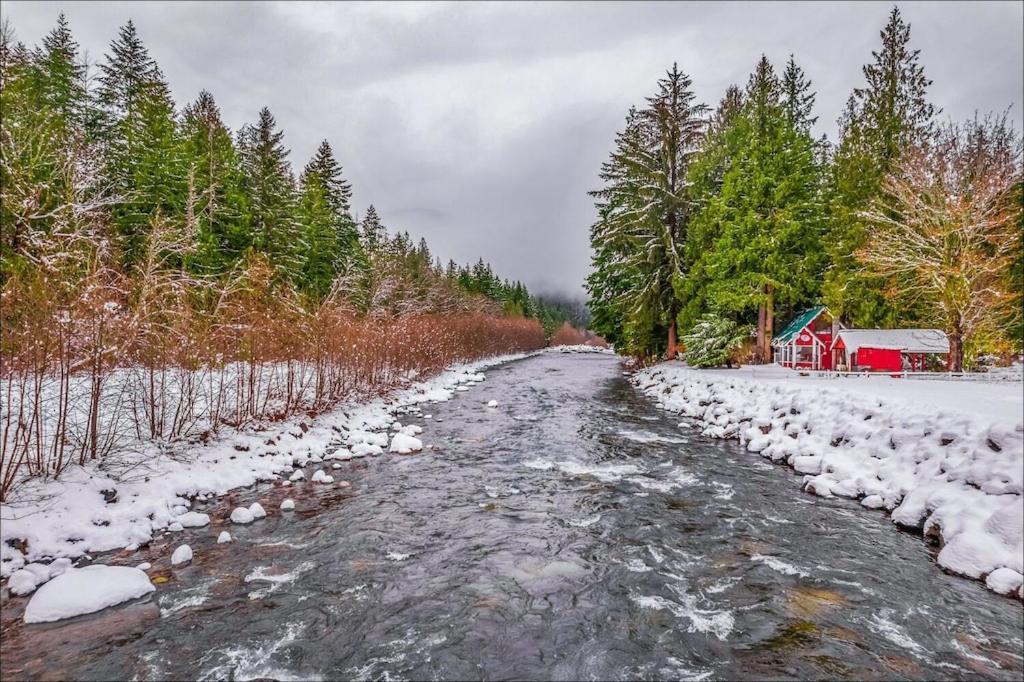 New: Steps From White River Near Mount Rainier National Park Greenwater Eksteriør bilde